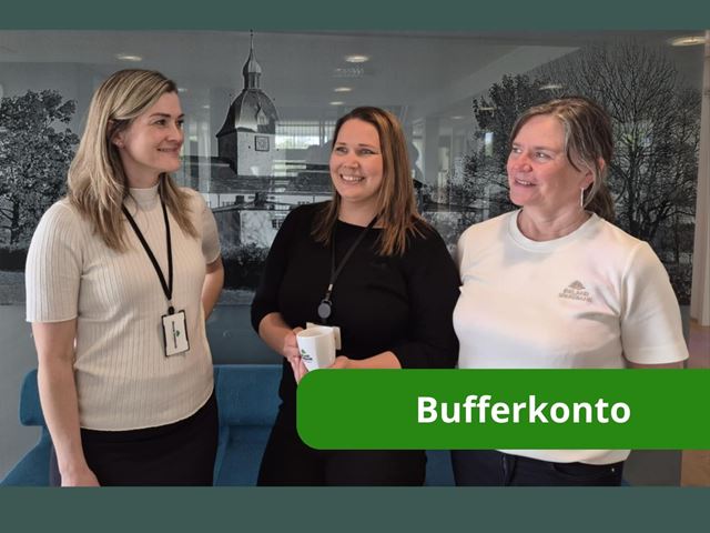 Rådgivere Ørland Sparebank