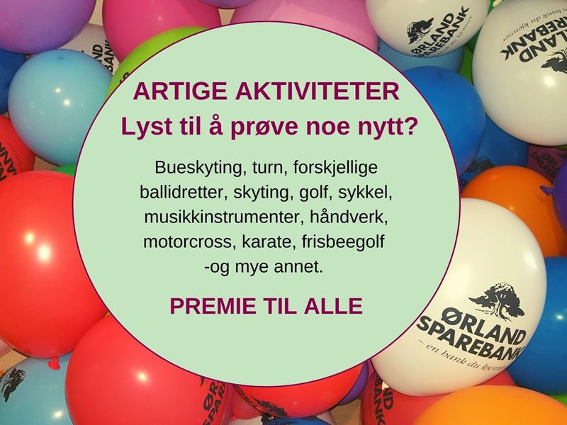 Info aktivitet lag or organisasjoner