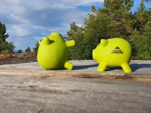 Sparegris som slår seg vrang mens en kikker -Ørland Sparebank