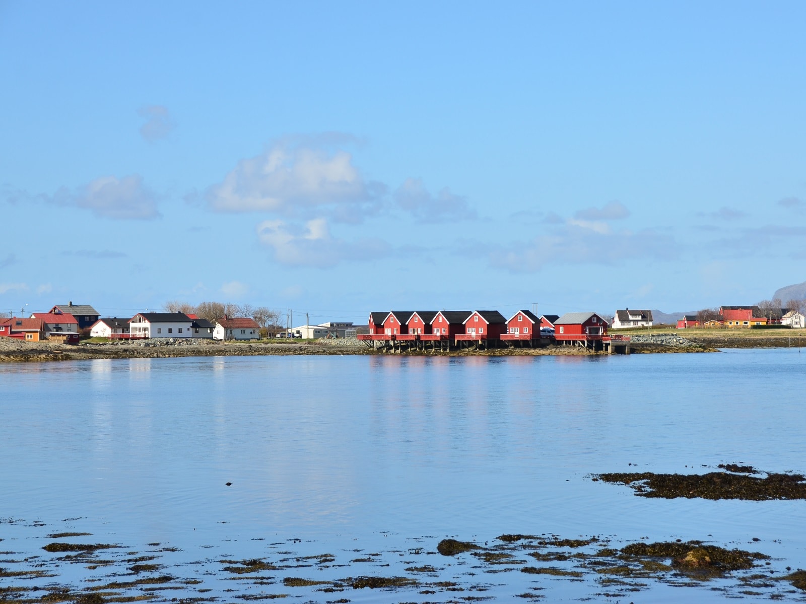 Rønsholmen Ørland